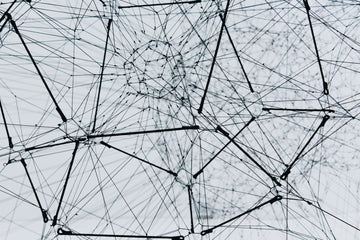 Abstract Representation of a Neural Network - Alina Grubnyak - Unsplash