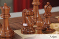 The DGT Projects Enabled Electronic Chess Pieces - Improved Fischer Spassky Series - 3.75