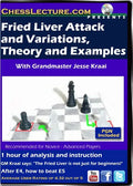 Fried Liver and Variations, Theory and Examples - Chess Lecture - Volume 70