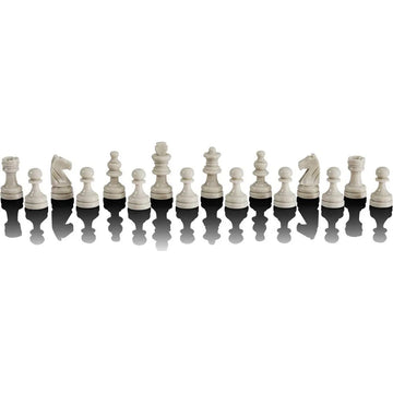 The Chess Champion Chess Computer