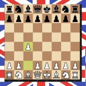 CLEARANCE - VECO - The English Opening - GM Mihail Marin and GM Damian Lemos - Volume 1