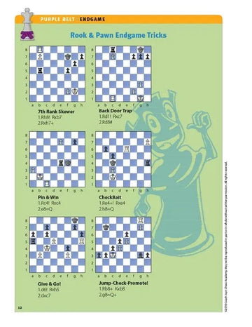 Coach Jay's Chess Academy - #5 Purple Belt Puzzles