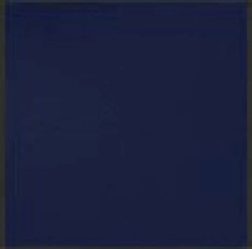 Deluxe Chess Set Combination and Single Weighted Regulation Pieces | Vinyl Chess Board | Deluxe Bag