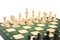 The Green Magnetic Chess Set