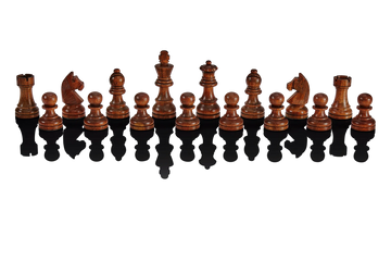 The Millennium Exclusive Luxe Edition Chess E-Board