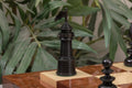 The 1820 Thomas Lund English Chess Pieces - The Camaratta Collection - 4.4