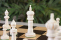 The Worthington Luxury Bone Chess Pieces - 4.0