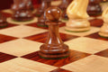 The Camaratta Collection - The 1849 Collector Series Luxury Chess Pieces - 4.4