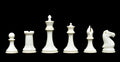 The Collector Series Plastic Chess Pieces - 4.0