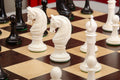 The Monmouth Luxury Bone Chess Pieces - 4.0