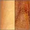 Golden Rosewood and Boxwood