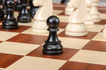 The German Series Single Weighted Regulation Plastic Chess Pieces - 3.75