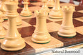 The Centurion Series Luxury Chess Pieces - 4.0