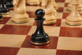 The Imperial Collector Series Luxury Chess Pieces with Brass Weighting - 4.4