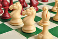 The Hastings Series Plastic Chess Pieces - 3.875