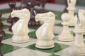 Staunton Themed Chess Pieces - 3.5