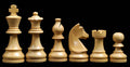 Ultimate Tournament Chess Set Combination