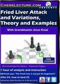 E-DVD Fried Liver and Variations, Theory and Examples - Chess Lecture - Volume 70