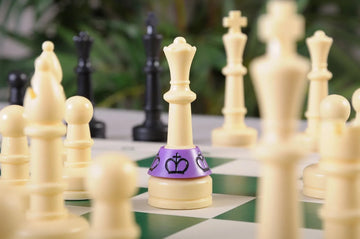 PlunderChess Game Set