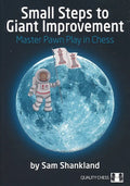 PAPERBACK - Small Steps to Giant Improvement