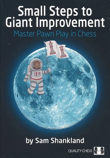 PAPERBACK - Small Steps to Giant Improvement