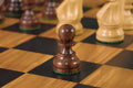 The Gambit Series Chess Pieces - 3.75