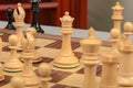 The Vigilant Series Luxury Chess Pieces - 4