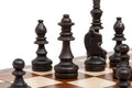 The Brown Magnetic Chess Set