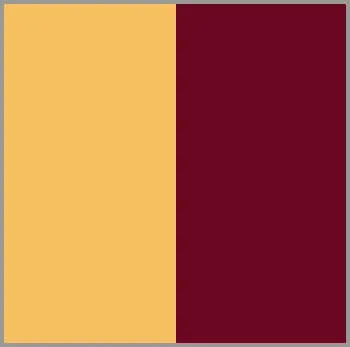 The Hastings Series Plastic Chess Pieces - 3.875" King