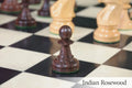 The Fischer Spassky Series Chess Pieces - 3.5