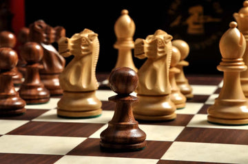 The Wild Knight Series Chess Set, Box, & Board Combination