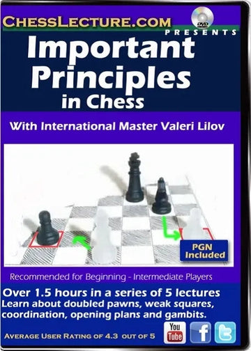 E-DVD Important Principles in Chess - Chess Lecture - Volume 156