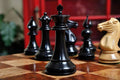 The Isernia Series Luxury Chess Pieces - 4.4