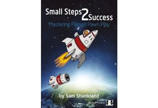 Small Steps 2 Success - PAPERBACK