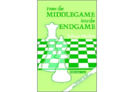 SHOPWORN - From the Middlegame into Endgame