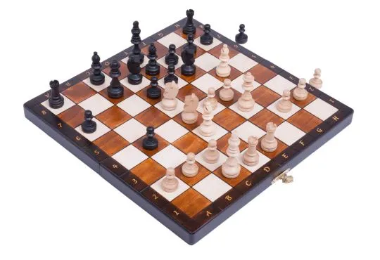The Brown Magnetic Chess Set