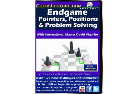 Endgame Pointers, Positions and Problem Solving - Chess Lecture - Volume 117