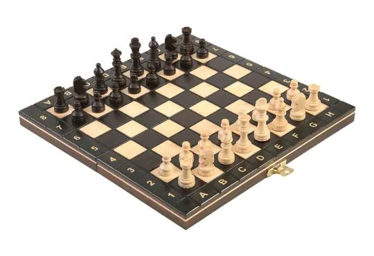 New Magnetic Travel Chess Set & Board - Brown