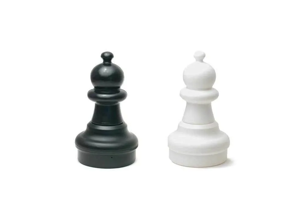 A Beginner's Garden of Chess Openings